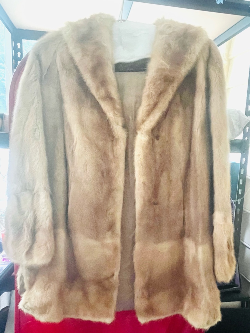 Lady's half-length mink coat